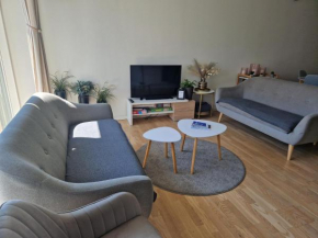 A charming apartment in the heart of Copenhagen, Copenhagen